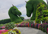 Dubai Miracle Garden