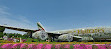 Dubai Miracle Garden