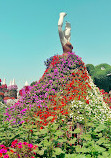 Dubai Miracle Garden