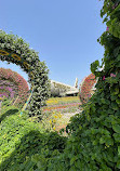 Dubai Miracle Garden