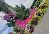 Dubai Miracle Garden