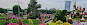 Dubai Miracle Garden