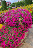 Dubai Miracle Garden