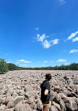 Boulder Field