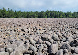 Boulder Field