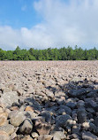 Boulder Field