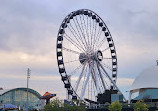 Navy Pier