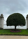 Dolmabahçe Palace