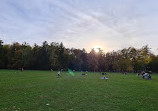 Tsaritsynskiy Park