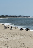 Cape May Lighthouse