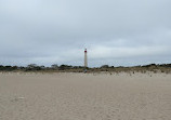 Cape May Lighthouse