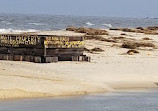 Cape May Lighthouse