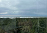 Grays Harbor Lighthouse