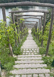 Treppe am seepark