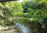 Freedom Park Demonstration Garden