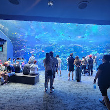 Georgia Aquarium