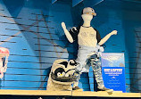 Georgia Aquarium Gift Shop