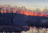 Charles River Peninsula