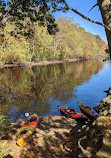 Charles River Peninsula