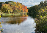 Charles River Peninsula