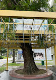 Tiong Bahru Bird Corner