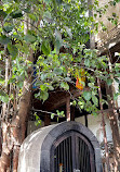 Shree Nageshwar Shiva Mandir Temple