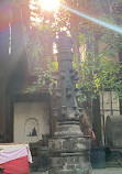 Shree Nageshwar Shiva Mandir Temple