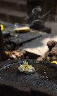 Shree Nageshwar Shiva Mandir Temple