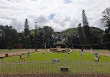 Floral Clock