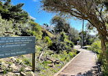 South Coogee Stairs