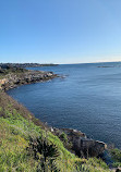 South Coogee Stairs