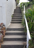 South Coogee Stairs