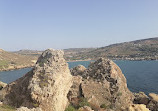 View point