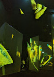 Frameless Immersive Art Experience