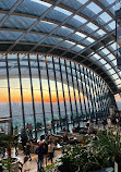 Sky Garden