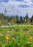 Cypress Provincial Park Picnic Area