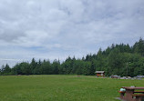 Cypress Provincial Park Picnic Area