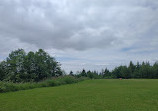 Cypress Provincial Park Picnic Area