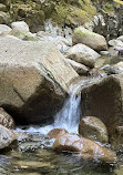 Cypress Lower Falls