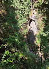 Cypress Waterfall