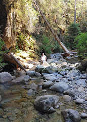 Cypress Waterfall