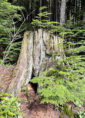 Cypress Waterfall