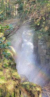 Cypress Waterfall