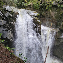 Cypress Waterfall