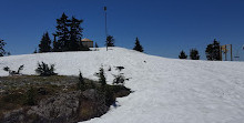 Mount Seymour Provincial Park