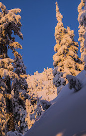 Mount Seymour Provincial Park