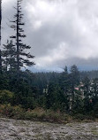 Mount Seymour Provincial Park