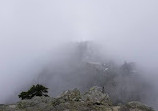 Mount Seymour Provincial Park