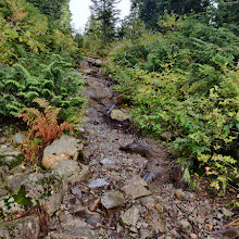 Mount Seymour Provincial Park