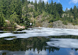 Mount Seymour Provincial Park